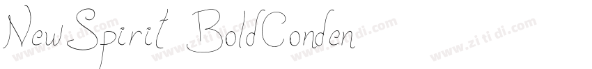 NewSpirit BoldConden字体转换